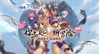 ro手游收藏同真省事播放器官方下载,定性评估解析&amp;CT_v7.147