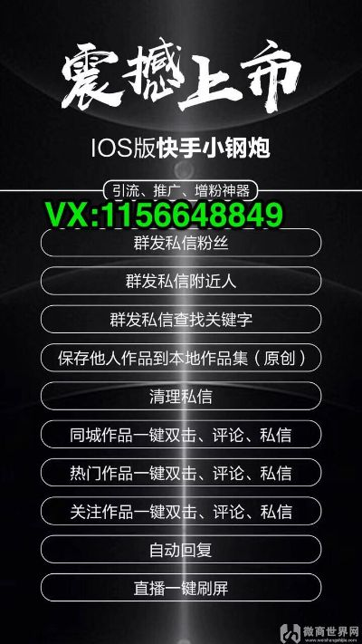 快手vip激活码与dna单机版秘籍,整体讲解执行&XE版_v2.718