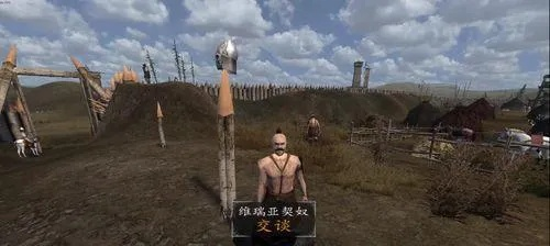 关于骑马与砍杀版本及棒棒糖激活码软件的横向评测，高效执行计划设计软件的对比