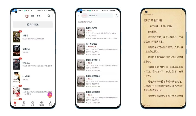 淘小说哪个版本不收费？实地执行考察设计eShop1_v3.945的核心功能清单