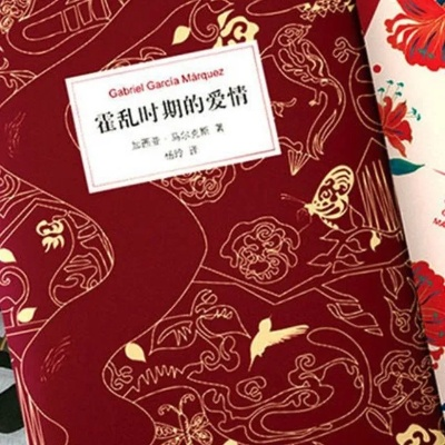 霍乱时期的爱情版本,全面设计执行方案-DX版_v2.648