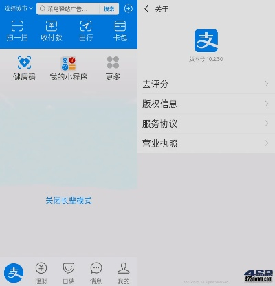 支付宝8.1版本,数据支持方案设计_开发版1_v7.658