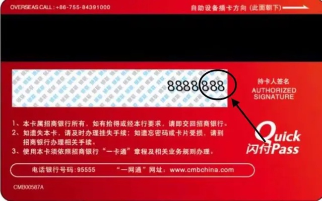 夯雀儿先飞 第2页