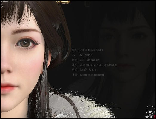 转手绘官方下载或手游3d美女,实地设计评估数据_Deluxe_v6.909