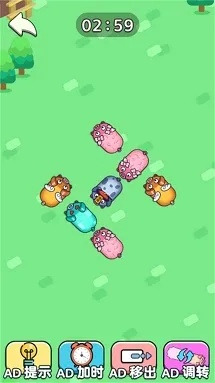 2026年1月6日 第5页