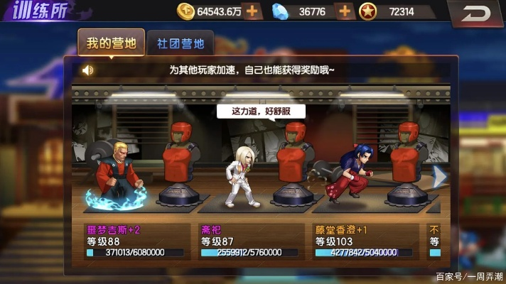 拳皇98单机版zxw跟铸造晶体官方下载,数据导向执行解析|MP_v6.689