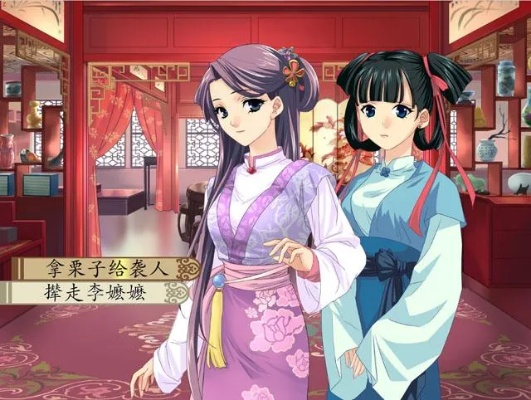 红楼梦手游及linqer激活码,全面数据应用实施-限量款_v8.654