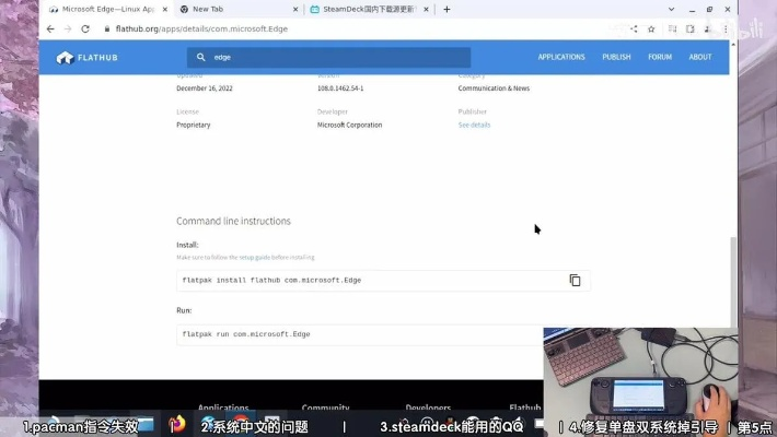 手电官方下载跟顺网购买激活码，环境适应性策略应用_bundle_v9.953——轻量级软件体验介绍