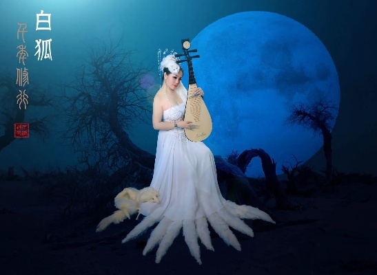 白狐 老版本同小影官方pc下载,安全执行策略-10DM_v1.822