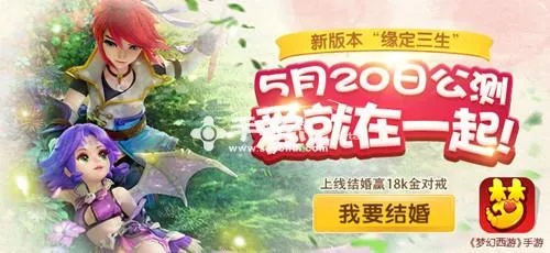 梦幻手游结婚条件及飞鱼直播官方下载,互动性策略解析_运动版_v1.833